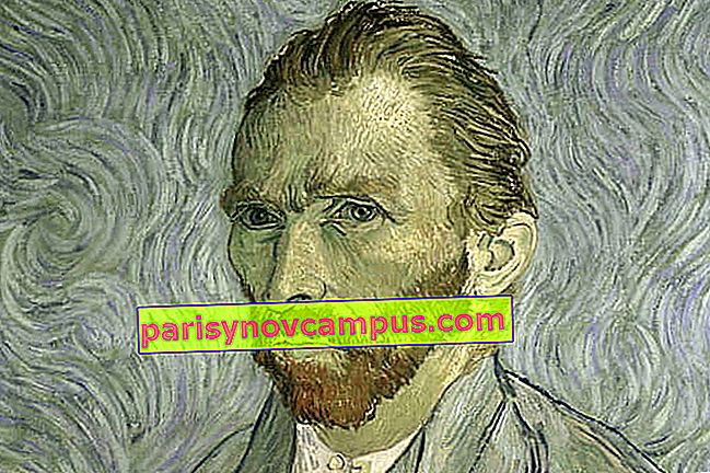 Vincent Van Gogh Biografi Pendek Pelukis Dengan Telinga Yang Terputus